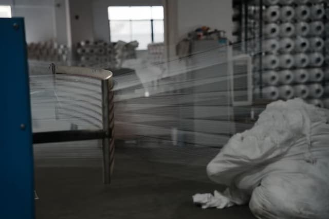 Warp threads